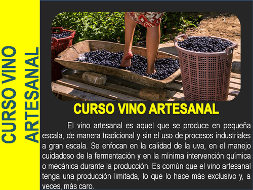 Curso Vino Casero - Completo