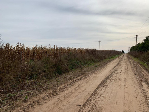 Imagen 16 de 17 de Venta- Campo De 82 Hectáreas En Goldney