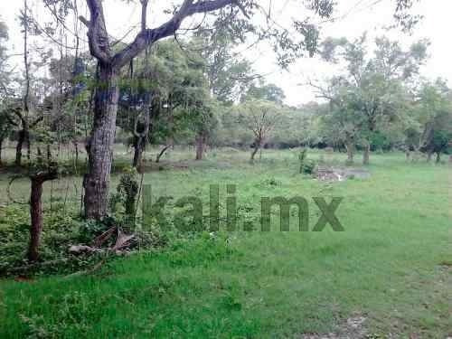 Imagen 8 de 11 de $350.00 El M² Venta Terreno Poza Rica Veracruz, Terreno De 1 Hectárea Ubicado En El Km. 46 De La Carretera A Cazones, Cerca Del Centro Comercial Gran Patio, Cuenta Con Escritura Publica, 20 Metros Fr