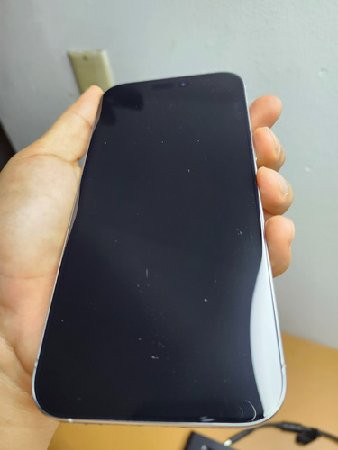 Apple Iphone 16 Pro Max (256 Gb) - Titanio Blanco At&t Esim Plateado (Usado)