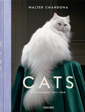 Libro Walter Chandoha. Cats. Photographs 1942-2018