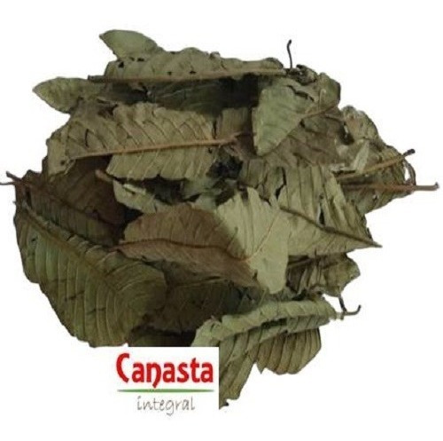 Té 1kg Hoja De Guayaba Reduce Colesterol, Protege El Corazón