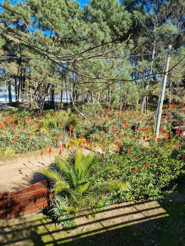 Imagen 28 de 30 de Venta En Parque Del Plata Con Vista Al Mar 209pp