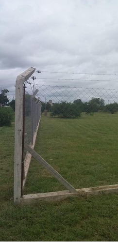 Imagen 6 de 13 de Galpón En Alquiler De 3000m2 Ubicado En Mi Granja
