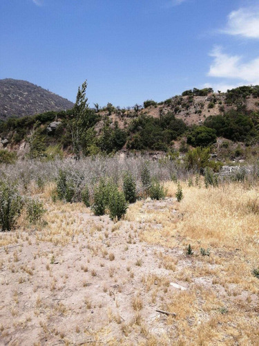 Propiedad Comercial En Pirque