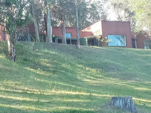 Chacra En Oportunidad Zona Jose Ignacio - Ref: 217418