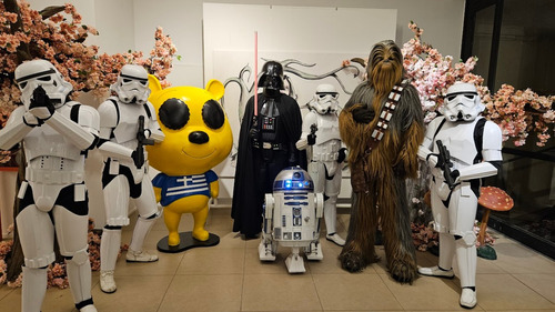 Star Wars Casamientos Show Infantil 15 Años Fiestas Eventos