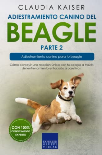 Adiestramiento Canino Del Beagle Parte 2: Como Construir Una