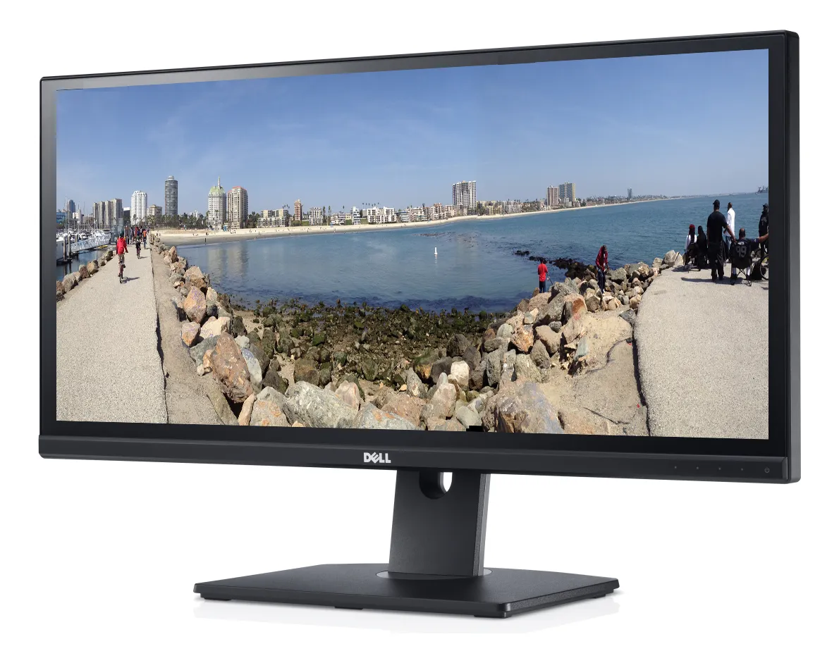 Dell UltraSharp U2913WM 29 "