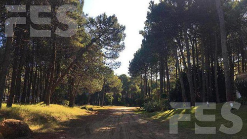 Imagen 2 de 4 de Venta Lote - Pinamar Norte