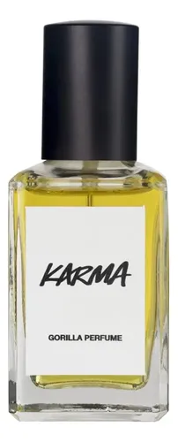 ラッシュ　KARMA 30周年　パフューム 香水 ラッシュ KARMA 30周年 パフューム