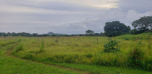 Vendo Finca En El Llanillo A 20 Minutos De Santiago