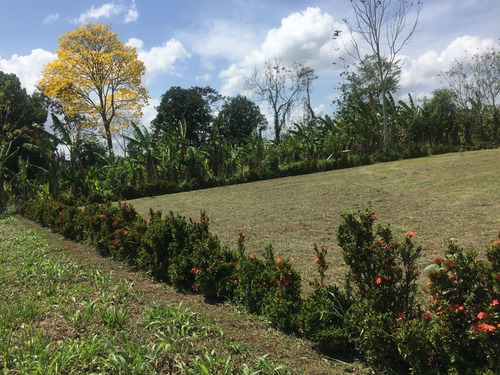 Imagen 4 de 10 de Se Vende Lote 749 M2 La Fortuna San Carlos