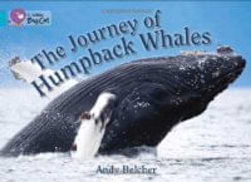 The Journey Of Humpback Whale- Band 7 - Big Cat