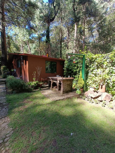 Imagen 2 de 19 de Departamento Tipo Cabaña En Medio Del Bosque Cerca De Santa Fe Pet Friendly Zona Ecolgica San Mateo Tlaltenango