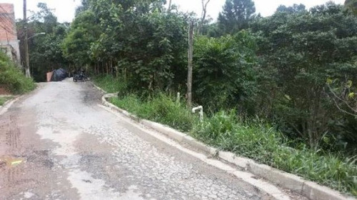 Imagem 2 de 11 de Nascente Com Muita Água. - Sp Capital - 55636