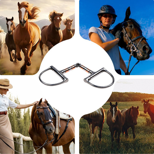 Hx Anillo D De Broca De Filete De Caballo Broca De Caballo
