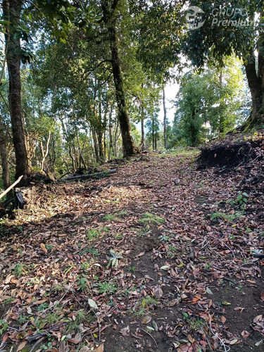 Agrícola En Venta En Futrono