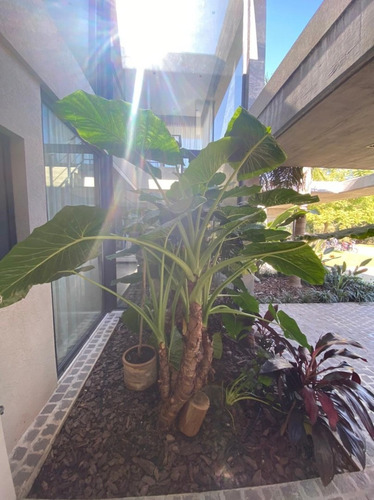 Casa En Venta Ubicado En El Yacht, Nordelta, G.b.a. Zona Norte