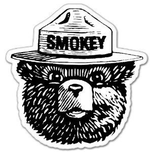 Smokey El Oso Etiqueta De Lucha Contra Incendios Wildfire 4 