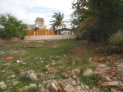 Imagen 2 de 4 de Terreno En Venta Coyuca De Benitez A 60 Metros Del Mar