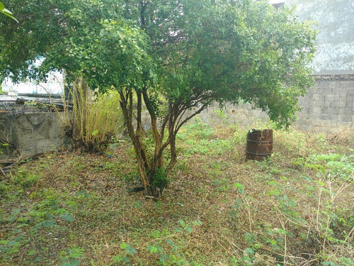 Imagen 5 de 7 de Terreno En Venta Salina Cruz