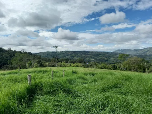 Vendo Finca Ganadera En Restrepo Valle