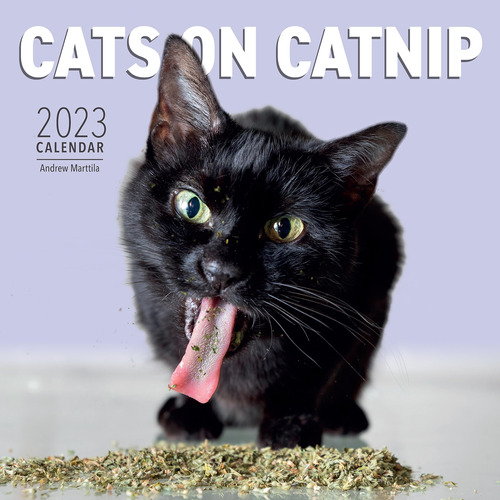 Cats On Catnip Wall Calendar 2023: A Year Of Cats Living The