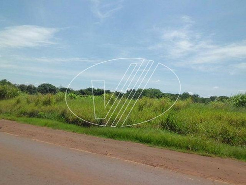 Imagem 3 de 7 de Terreno À Venda Em Betel - Te038043