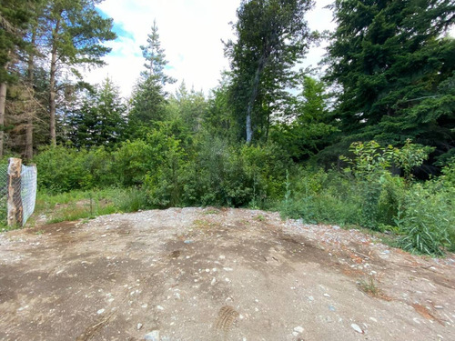 Imagen 2 de 14 de Lote En Venta - Bariloche - Avenida Bustillo Km 21 - Id: 60514