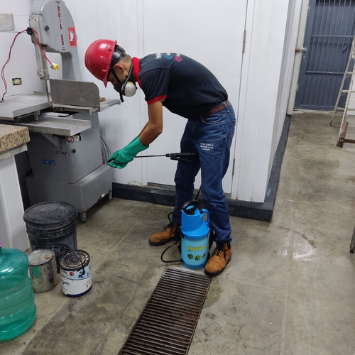 Imagen 5 de 5 de Fumigaciónes Jk Especialistas En Control De Plagas