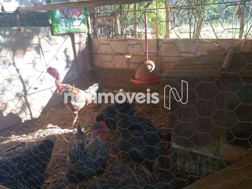 Imagem 23 de 25 de Venda Chácara Zona Rural São Sebastião - 807249
