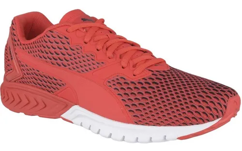 Ignite dual hot sale new core