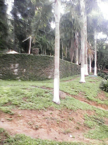 Imagem 16 de 20 de Chacara - Ch00014 - 34330924