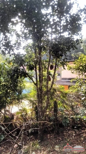 Imagem 12 de 15 de Terreno Bom Para Chacara Rodovia Dom Pedro - 6324