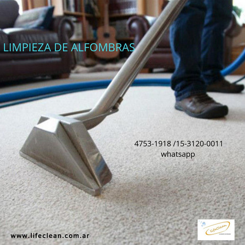 Imagen 5 de 5 de Limpieza Y Desinfección De Tapizados, Sillones Y Alfombras