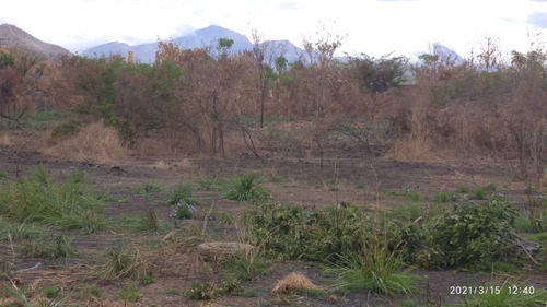 Imagen 4 de 4 de Vendo Terreno Los Guayos-paraparal Zona Industrial