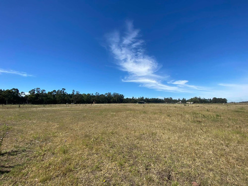 Imagen 3 de 14 de Latorre Prop. Vende Una Hectarea En La Zona De Parque Camet