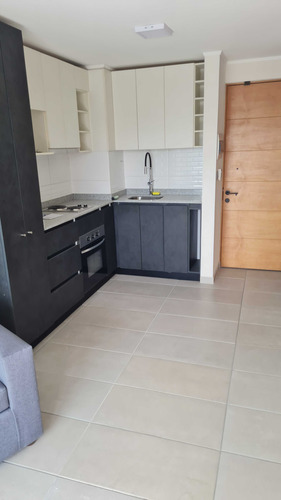 Arriendo Amoblado Nuevo Centro Concepcion (84964)