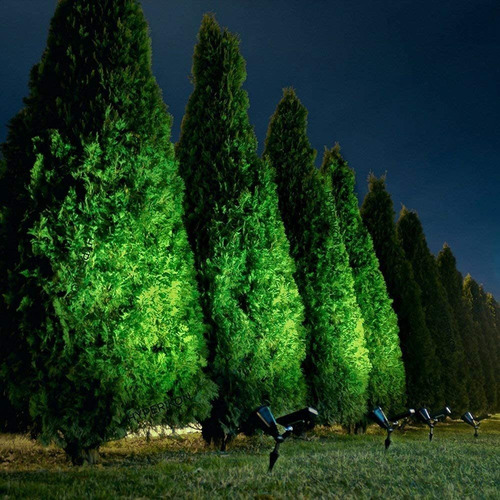 Focos Solares (mejorados) - Focos Led Ultrabrillantes P...