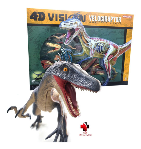 Anatomia Do Dinossauro Velociráptor - 4d Master