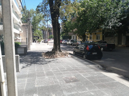 Alquiler Local Comercial Sobre Roque Graseras Punta Carretas