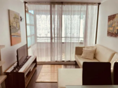 Amoblado Depto En Primer Piso Arriendo (99866)