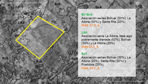 Campo En Venta Mixto De 246 Has En Saladillo