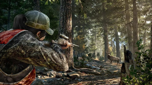 Far Cry 5 Xbox One & Series X|s (Usado)