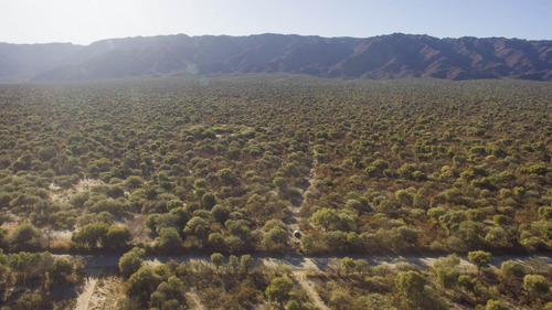 Imagen 2 de 18 de Venta De Campos En Córdoba Chancaní Campo Ganadero