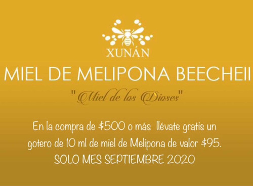 Imagen 7 de 7 de 3 Tarros 30 Ml Polen De Melipona Y Miel