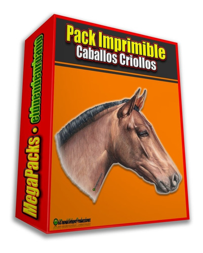 Pack Imprimible » Caballos Criollos Y Sus Anatomias