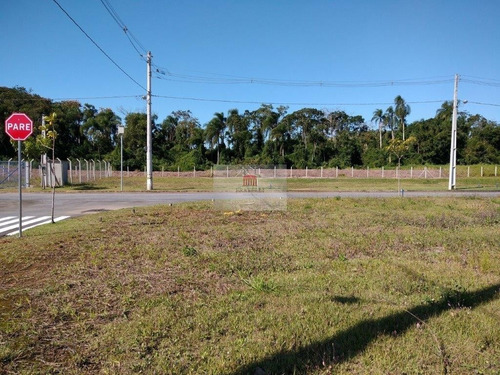 Imagem 12 de 13 de Terreno No Itinga Com 0 Quartos Para Venda, 263 M² - Ft1385