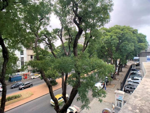 Imagen 8 de 12 de Alquiler De Oficina Con Gran Terraza Sobre Bv. Artigas
